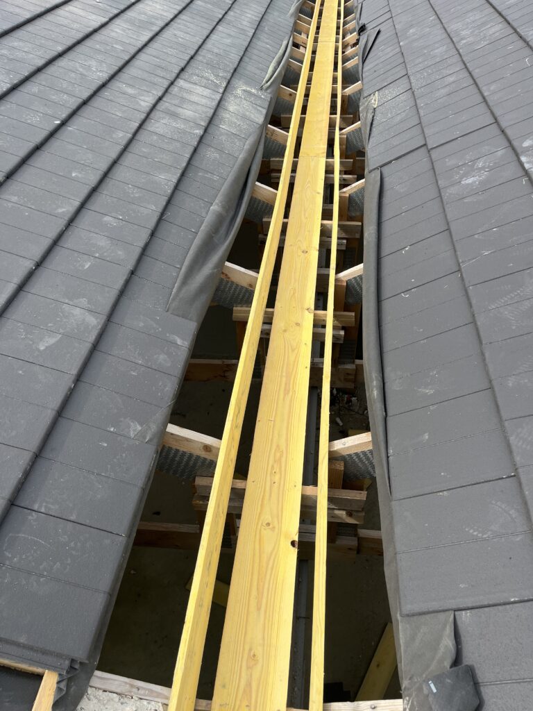 img 1972
